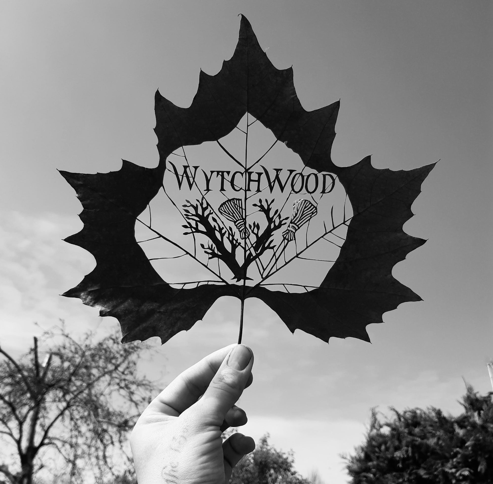 WytchWood Pure Organic Vermont Maple Syrup